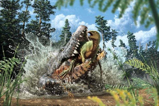 Artist's reconstructie van een Confractosuchus die een ornithopod-gebeurtenis verslindt.