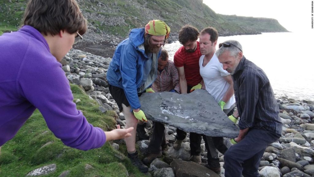 Fossiel van een gigantisch vliegend reptiel ontdekt op een Schots eiland