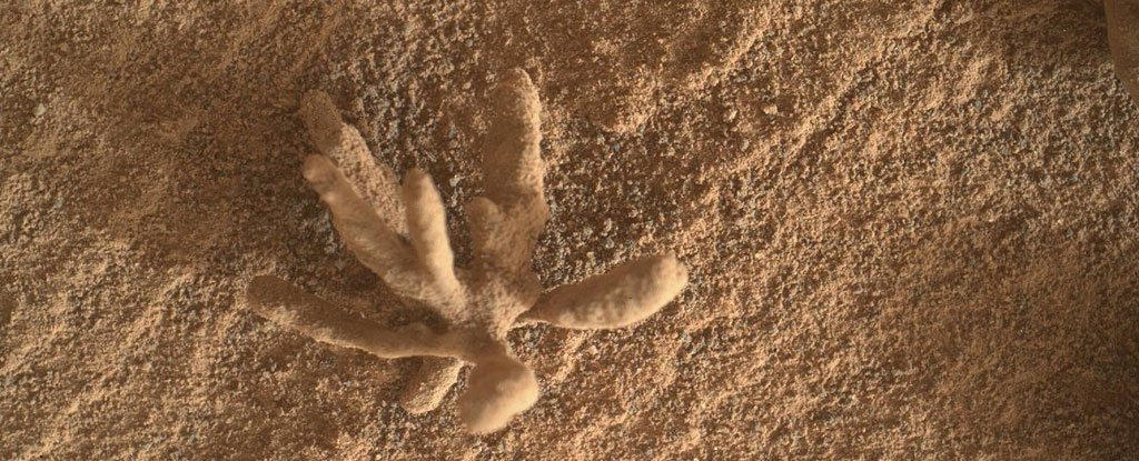 Curiosity Rover maakte deze foto van een delicate en delicate metalen "bloem" op Mars