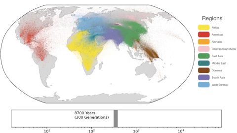Een foto uit een video die door de auteurs van het onderzoek is gepubliceerd, toont de geschatte geografische locaties van menselijke voorouders.