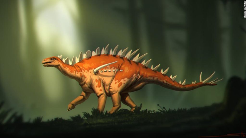 Stegosaurus-fossielen ontdekt met 'vreemde mix van kenmerken'