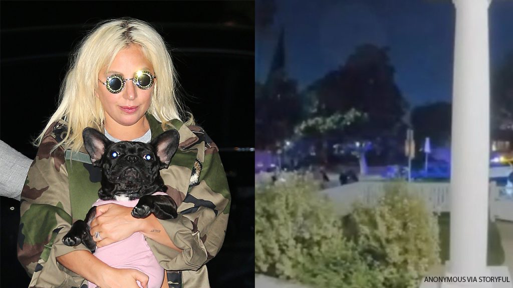 Lady Gaga's hondenuitlater praat nadat een man werd gearresteerd voor per ongeluk schieten na zijn vrijlating uit de gevangenis