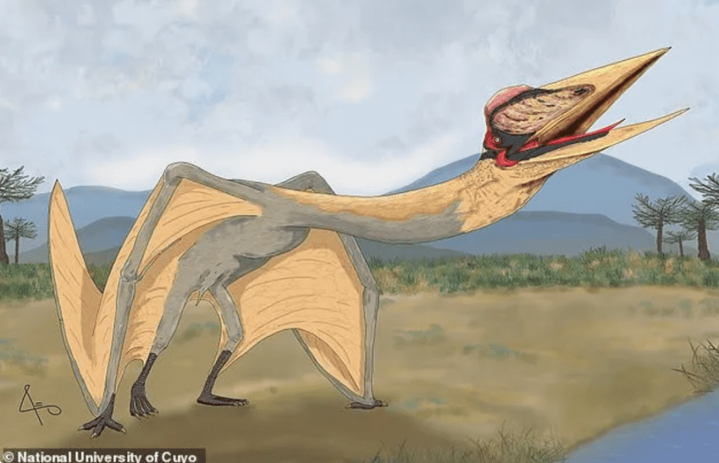Oude fossielen van gigantische vliegende reptielen ontdekt in Argentinië