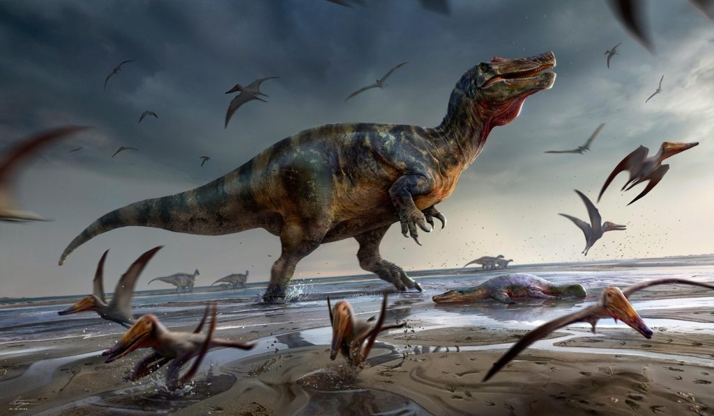 De grootste roofzuchtige dinosaurus in Europa ontdekt op het Isle of Wight
