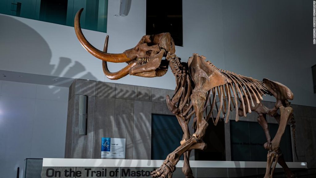 De hoektand van Mastodon onthult migratiepatronen in Noord-Amerika