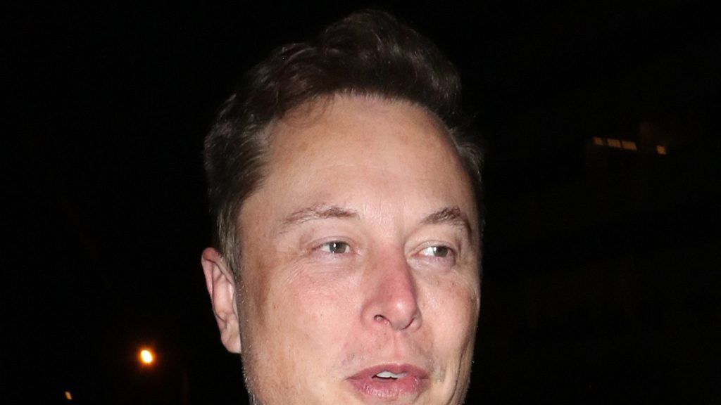 De transgenderdochter van Elon Musk wil haar naam veranderen en Musk ten val brengen