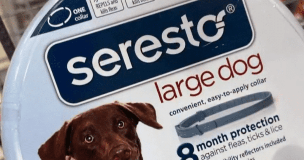 Wetgevers zeiden dat de vlooienband van Seresto moet worden ingetrokken na 2500 sterfgevallen door huisdieren
