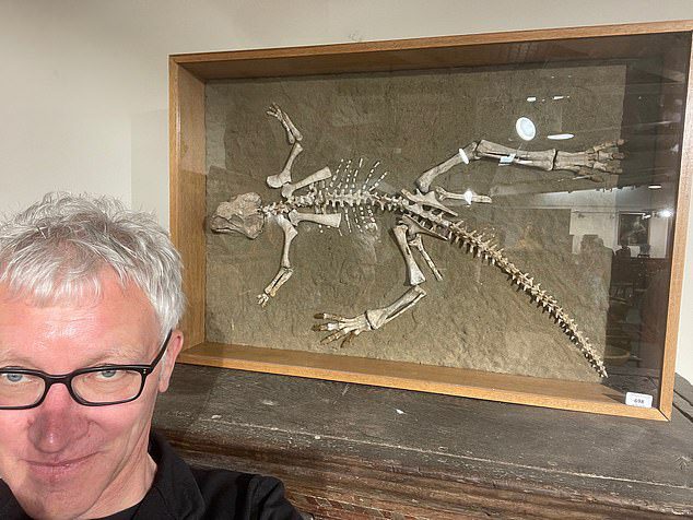 De 54-jarige man (foto Tom Holland) ging met zijn vader naar de verkoop in Woolley & Wallis, Salisbury, Wales, om een ​​presentatie te geven over het skelet van een Psittacosarus (papegaaihagedis) van 97,5 tot 119 miljoen jaar oud