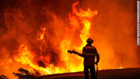 De hittegolf in Portugal verergerde een reeds bestaande droogte en veroorzaakte bosbranden in centrale delen van het land, waaronder het dorp Memoria in de gemeente Leiria. 