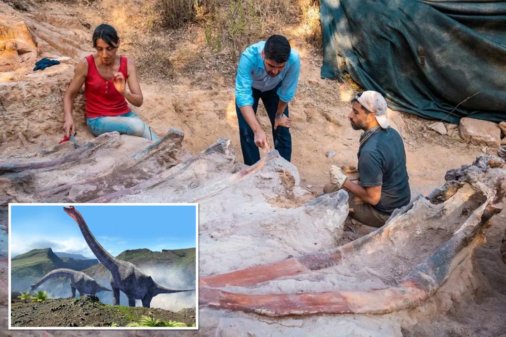 Een 82 meter hoog dinosaurusskelet werd gevonden in de achtertuin van een man in Portugal