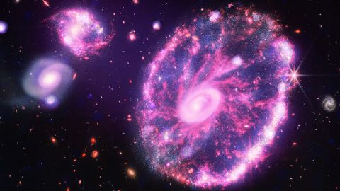 Chandra's röntgengegevens droegen bij aan de fakkels in het Webb Telescope-beeld van het Cartwell Wheel Galaxy.