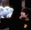Yer a delicatesse, Harry: de eerste Harry Potter-film ging precies 20 jaar geleden in première 