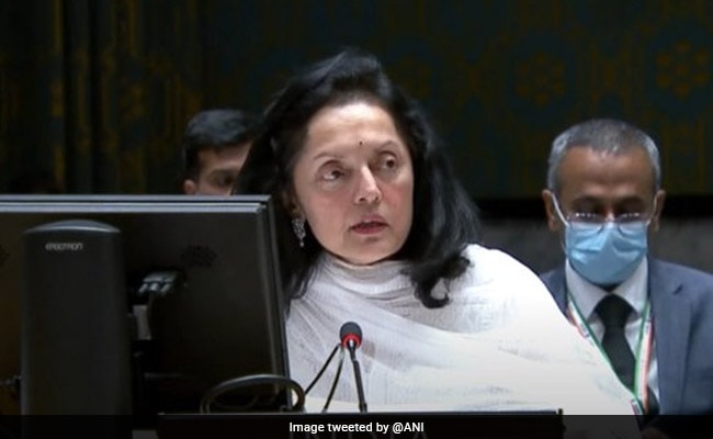 Ruchira Kamboj: 'We hoeven ons niet te vertellen wat we met democratie moeten doen': India bij de Verenigde Naties