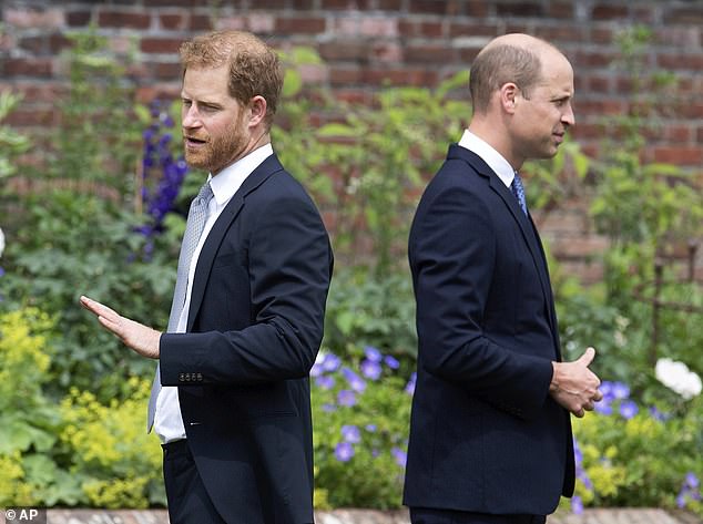 De kloof: Harry en William tijdens de onthulling van een standbeeld van hun moeder, prinses Diana, vorig jaar in Kensington Palace