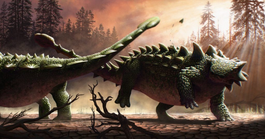 De staartknots van de Ankylosaur werd niet alleen naar T. Rex gezwaaid